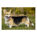 Recherche de welsh corgi posters Amoureux des chiens