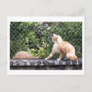 Recherche de escargot et chat cartes postales Toute personne