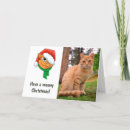 Recherche de gingembre vœux cartes Chat