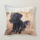 Recherche de labrador coussins Mignon