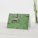 Recherche de caribou vœux cartes Paysage