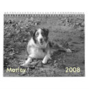 Recherche de marley Oiseau