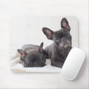 Recherche de french bulldog mousepads Animaux