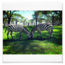 Recherche de zebras posters Pour tous