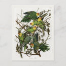 Recherche de perruque cartes postales Nature