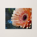 Zoek naar gerbera puzzels Oranje bloem