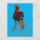 Recherche de coq drôle cartes postales Vélo