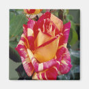 Recherche de mothers day magnets Flowers
