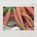 Recherche de carotte cartes postales Orange