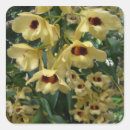 Recherche de orchidée jaune autocollants Floral