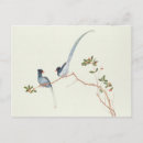 Recherche de qing cartes postales 18e