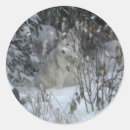 Recherche de chien de noël autocollants Animaux domestiques