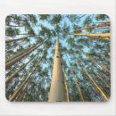 Recherche de arbre peuplier tapis souris Bois