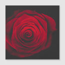 Recherche de arrière plan vintage vœux cartes Rose