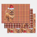 Recherche de dogs christmas papier cadeau Pour tous