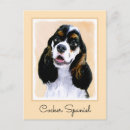 Recherche de cocker cartes postales English cocker spaniel