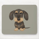 Recherche de teckels tapis souris Daschund