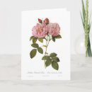 Zoek naar rosa kaarten Bloemen