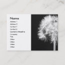 Recherche de pissenlits cartes visite Fleurs