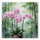 Recherche de orchidee posters Botanique