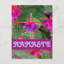 Recherche de fuschia vœux cartes Fuschie