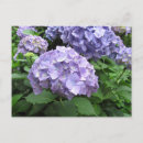 Recherche de les cornouailles cartes postales Cornwall