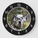 Recherche de chien blanc art Dalmate