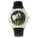 Recherche de photo de cheval montres Animaux