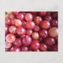 Recherche de fruits rouges cartes postales Photographe