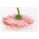 Recherche de gerbera magnets Rose