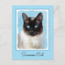 Zoek naar siamese kat briefkaarten Kitten