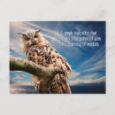 Zoek naar wisdom briefkaarten Inspirerend
