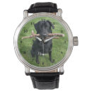 Recherche de la photo du chien montres Animal de compagnie