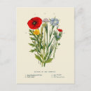 Recherche de impression florale vintage cartes postales Rétro
