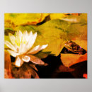 Recherche de fleur lotus posters Water
