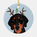 Recherche de gui de ornements Chien