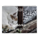 Zoek naar katten kalenders Katjes
