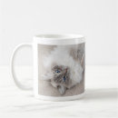 Recherche de beau chat tasses Mignon