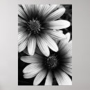 Recherche de b posters Noir