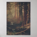 Recherche de séquoia géant posters Nature