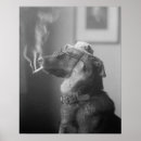 Recherche de photos vintages de chien posters Animal de compagnie