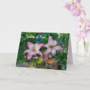 Recherche de lilly photographie Rose