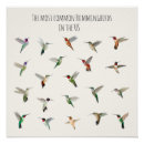 Recherche de ornithologie posters Faune