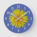 Recherche de pissenlit horloges Jaune