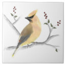 Recherche de oiseau rouge carreaux Peinture