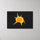 Recherche de plaquettes posters Hématologie