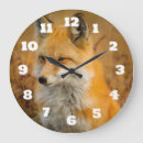 Zoek naar red fox klokken Natuur