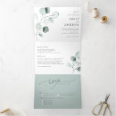 Recherche de feuille du vert trois Eucalyptus