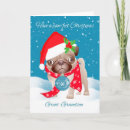 Zoek naar leuke pug kaarten Santa