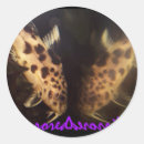 Recherche de poisson chat autocollants Poissons